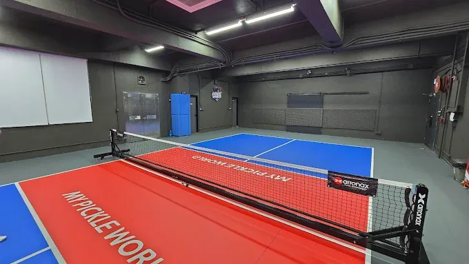 My Pickle World pickleball court