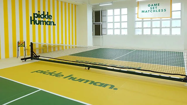 Picklehuman pickleball court